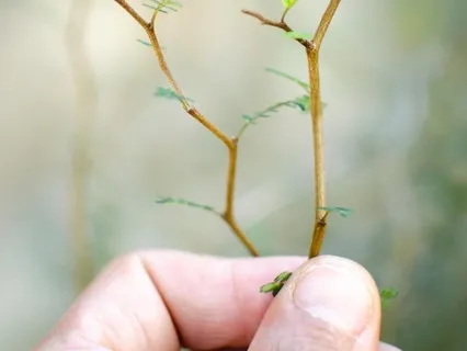 Learning To Trust Your Intuition