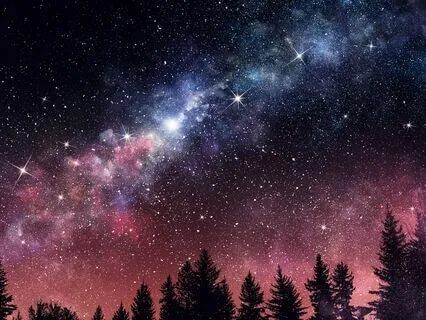 Learning Trivia To Relax And Fall Asleep