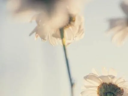 Learning Your Body’s Yes & No | Somatic Awareness