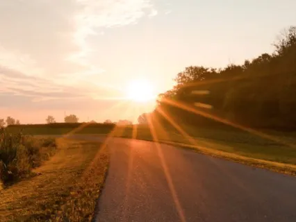 Leave The Morning Rush Behind And Take This Break To Quiet The Mind