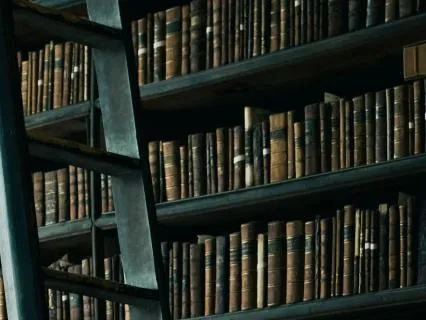 Leavenworth Case: Book 2 - Henry Clavering | Chapters 14-26