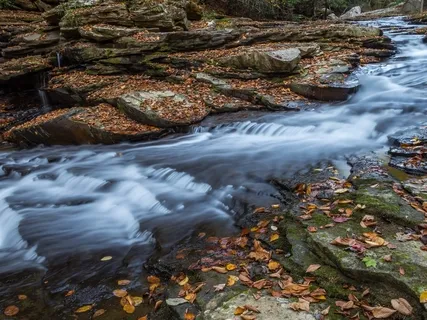 Letting Thoughts Drift By