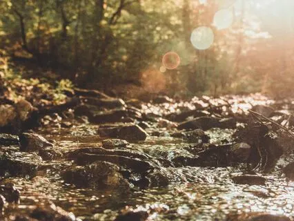 Leaves On A Stream - Relief From Anxiety And Overthinking