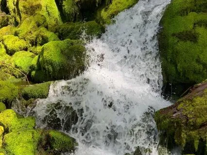 Leaves On A Stream:  Observing Thought And Experience