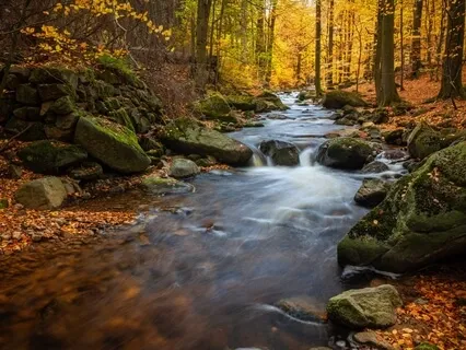 Leaves On A Stream - Unhooking From The Mind’s Storylines