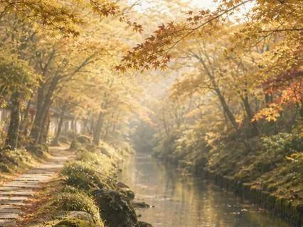 Leaves on the Stream 溪流上的叶子