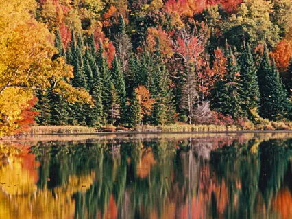  Leaving Curtis Pond By Isabella Fiske Mc Farlin