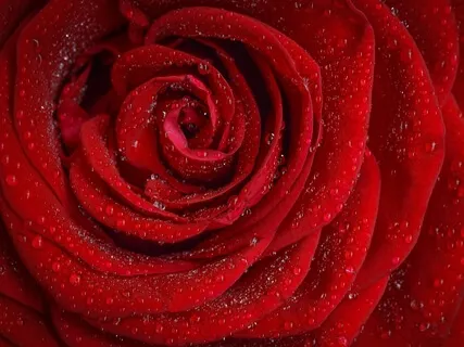 Lectio Divina: 1 Corinthians 13