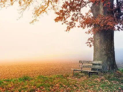 Lectio Divina: Come Way Awhile (Mark 6:7, 12-13, 30-32)