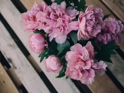 Lectio Divina: Matthew 17:1-5 (The Transfiguration)