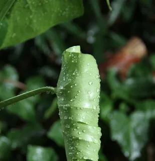 Lectio Divina: Matthew 3:16-17