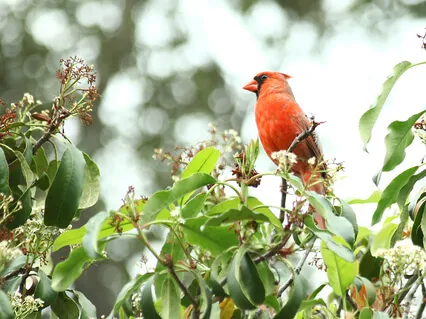 Lectio Divina: Matthew 7:7-8 (Provider God)