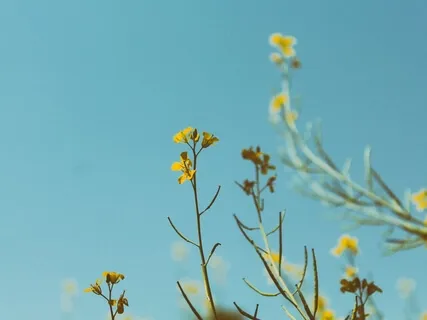 Lectio Divina: Matthew 8:23-27