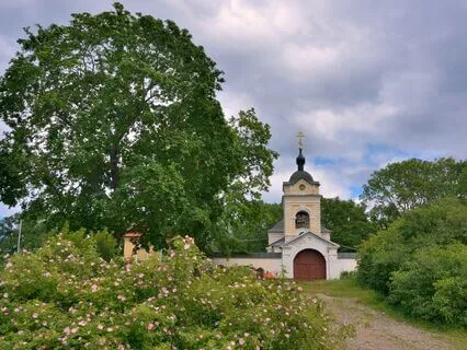 Lectio Divina On John 8 | I Am The Light Of The World