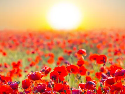 Lectio Divina: Psalm 121:1-8 (Help)