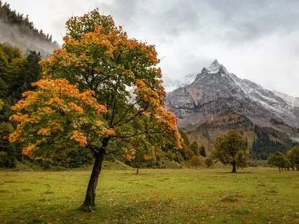 Lectio Divina: Romans 11:33-36