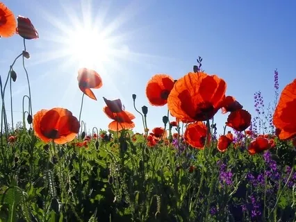 Spiritual Reading Psalm 119:28