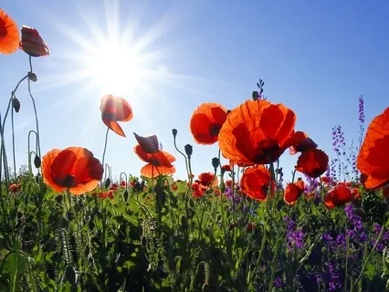 Spiritual Reading Psalm 23