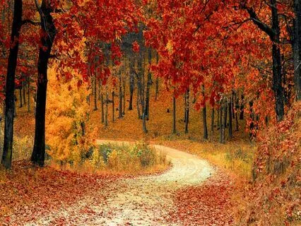 Lectio Divina: The Gospel Of Thomas, Logion Forty-Two