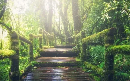 Lecture - One Minute Series To Jumpstart Mindful Practice