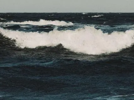 Left Behind By The Tide