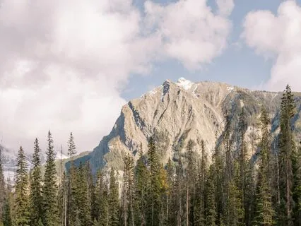 Left Look Meditation - Free The Inner Saboteur - Voice Only