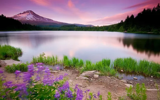 Left Nostril Breathing Exercise