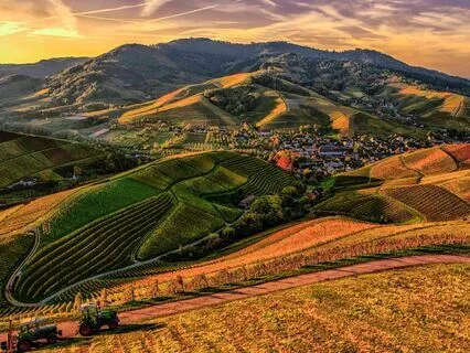 Left​|​Right Brain Coherence & InterHemispheric Synchro