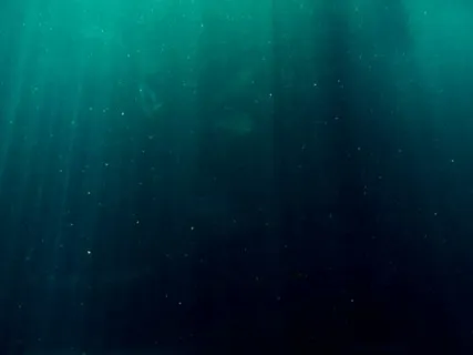 Left Shoulder Chakra