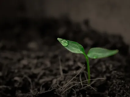 Leftover Pieces With Melissa Bottorff-Arey (Content Warning)