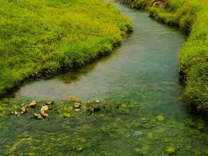 Legend Of The Two Rivers: Story Of Life's Meandering Journey