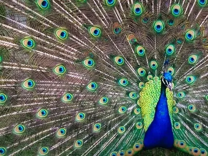 LegGO Of My EGgO (Season 2)