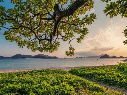 Legs Up The Wall Stretch And Reset