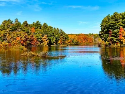 Lehdet virrassa 15 min.