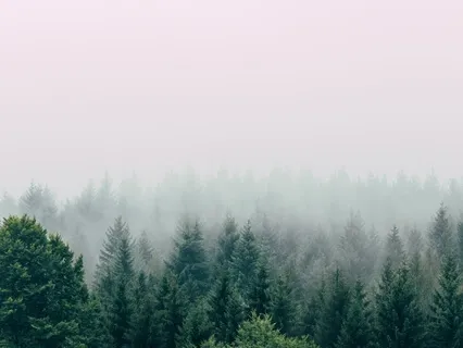 Lempeä myötätuntoharjoitus vaikeiden tunteiden kohtaamiseen 