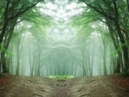 Lemurian Crystal Healing 432Hz: Forest and Bliss