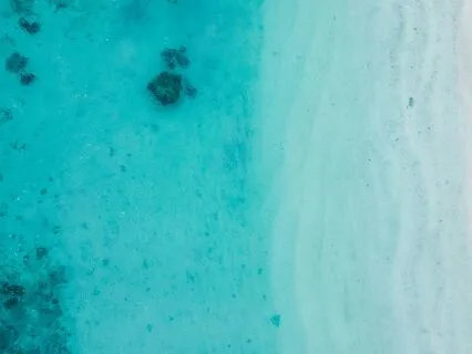 Lemurian Journey Meditation