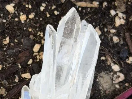 Lemurian Quartz Reiki Meditation For Activated Potential