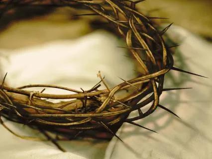 Lent For Justice: 6. 5th Sunday Of Lent