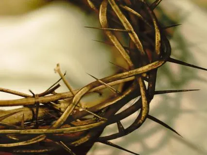 Lent For Justice: 7. Palm Sunday