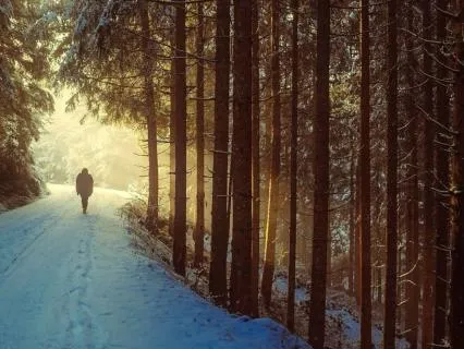 Lent2026 In The Wilderness, Still Held 13