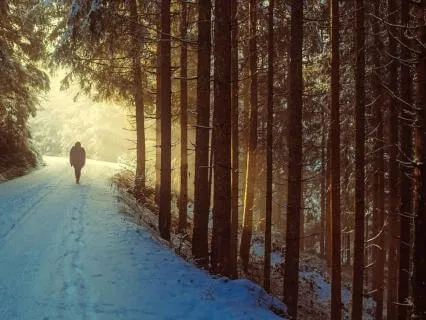 Lent2026 In The Wilderness, Still Held 16