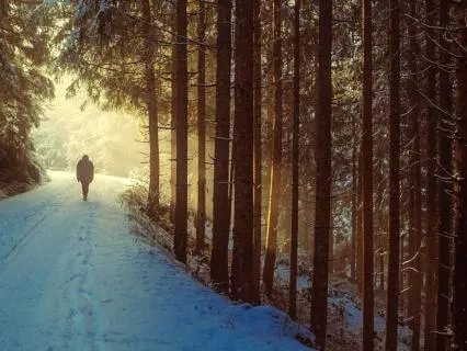 Lent2026 In The Wilderness, Still Held 24