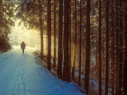 Lent2026 In The Wilderness, Still Held 26