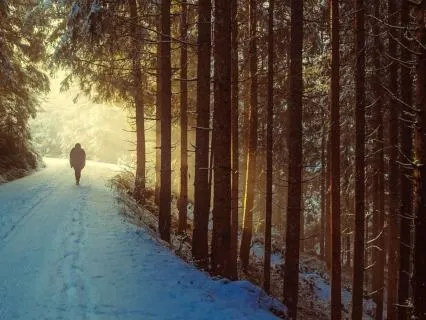 Lent2026 In The Wilderness, Still Held 3