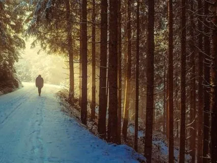 Lent2026 In The Wilderness, Still Held 30