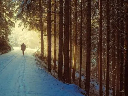 Lent2026 In The Wilderness, Still Held 31