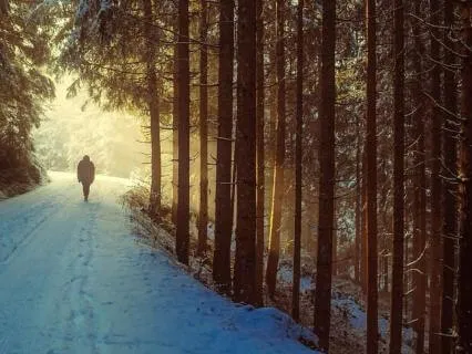 Lent2026 In The Wilderness, Still Held 35