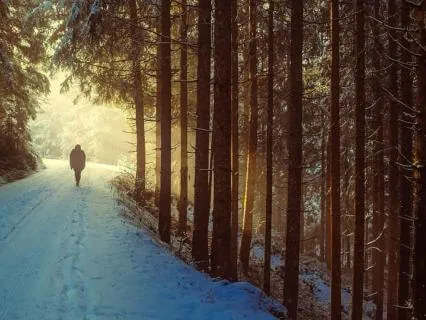 Lent2026 In The Wilderness, Still Held 37