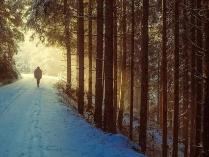 Lent2026 In The Wilderness, Still Held 42